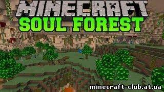 Мод Soul Forest