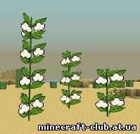 Desert Cotton Plant для Minecraft 1.4.7